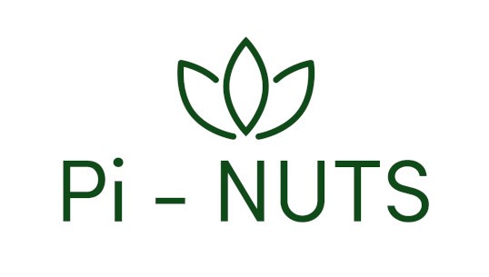 Pi-NUTES logo